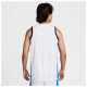 Nike Ανδρική φανέλα Dri-FIT Greece Olympics 24 Limited Home Jersey